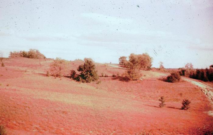 Saranac Speedway - From Bob Cusack (newer photo)